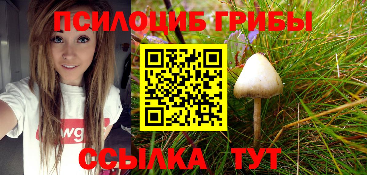 Псилоцибиновые грибы Psilocybe  даркнет сайт  Вход с VPN  Якутск  Псилоцибиновые грибы Cubensis 